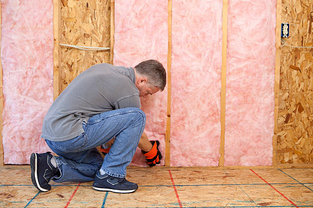 Best Cellulose Insulation in Joplin, MO